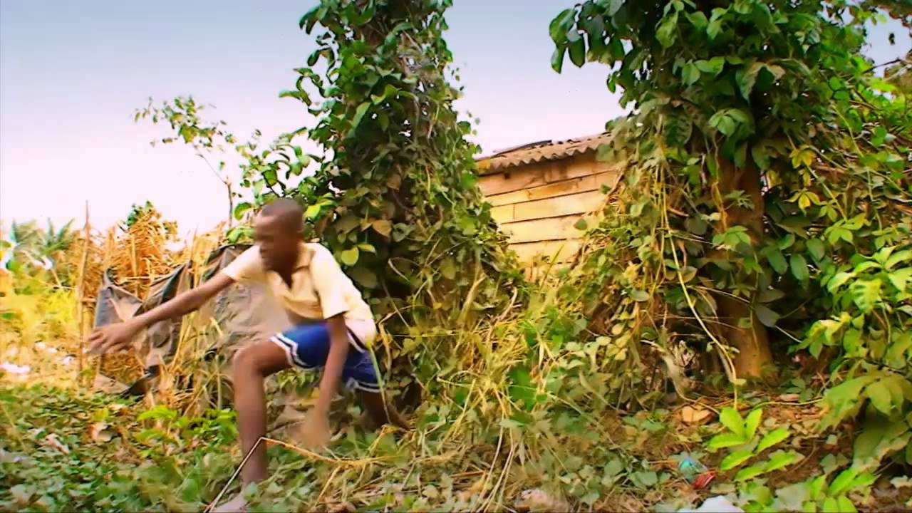 OS VIBRADOS Nom Mole.mp4