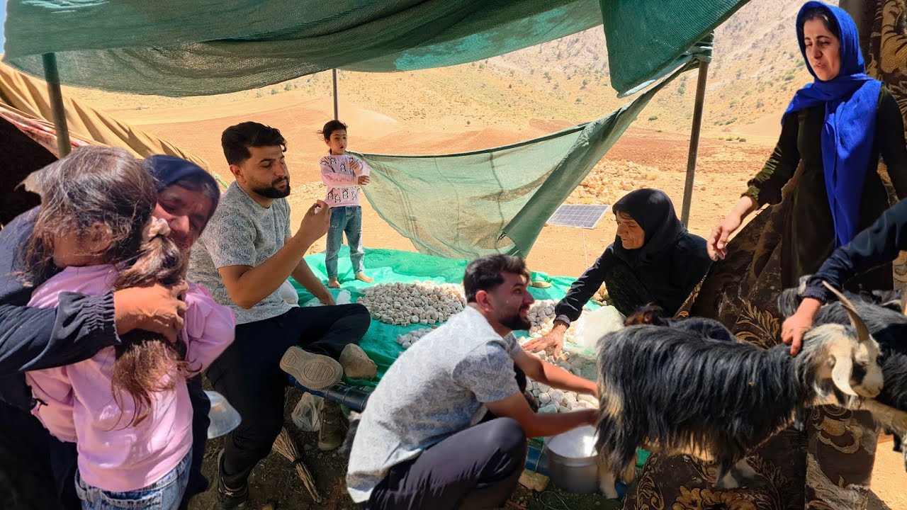 🥛🌿 The Secret of Traditional Nomadic Kashk Making Authentic Life of Iranian Nomads @PerenOriginal
