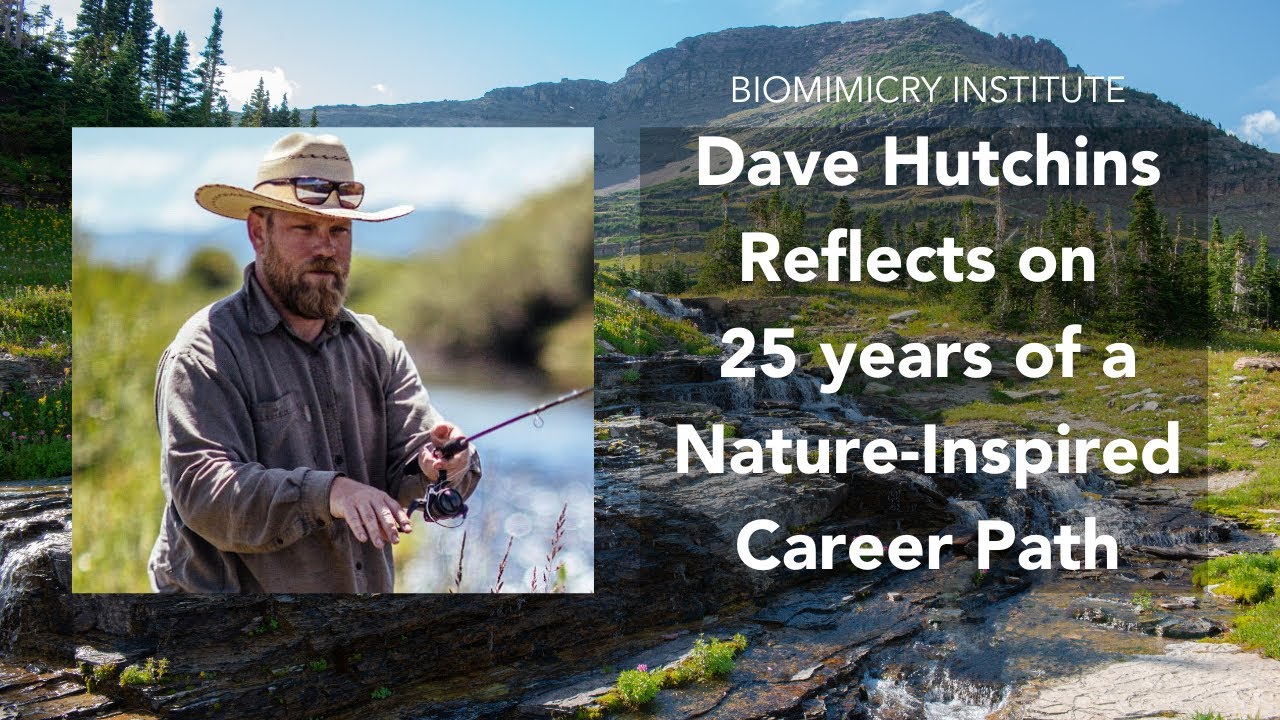 Dave Hutchins Reflects on 25 years of a Nature-Inspired Career Path