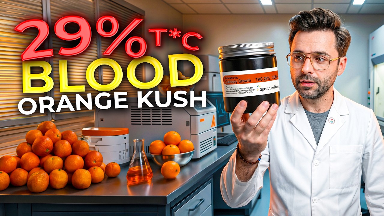 Blood Orange Kush &ndash; ponad 30%? Sprawdziliśmy wyniki laboratorium