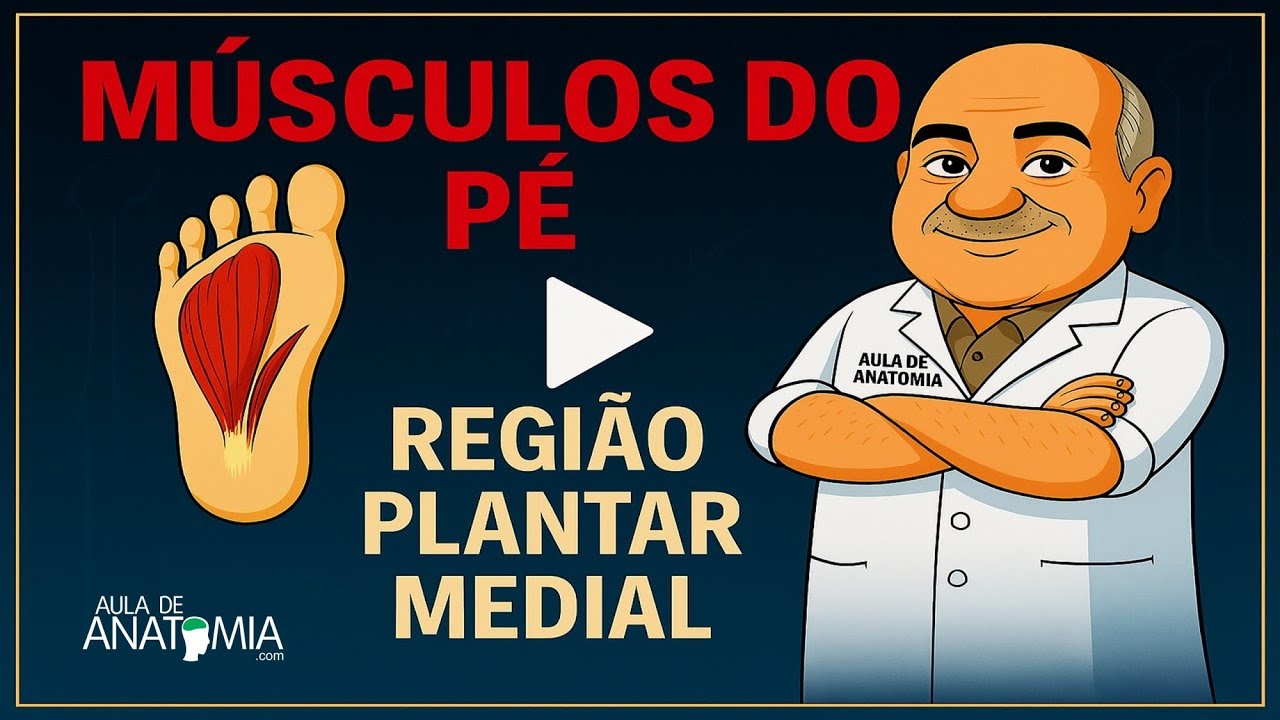 MÚSCULOS DO PÉ REGIÃO PLANTAR MEDIAL #anatomy  #anatomia #medico #fisioterapia  #educationalvideo
