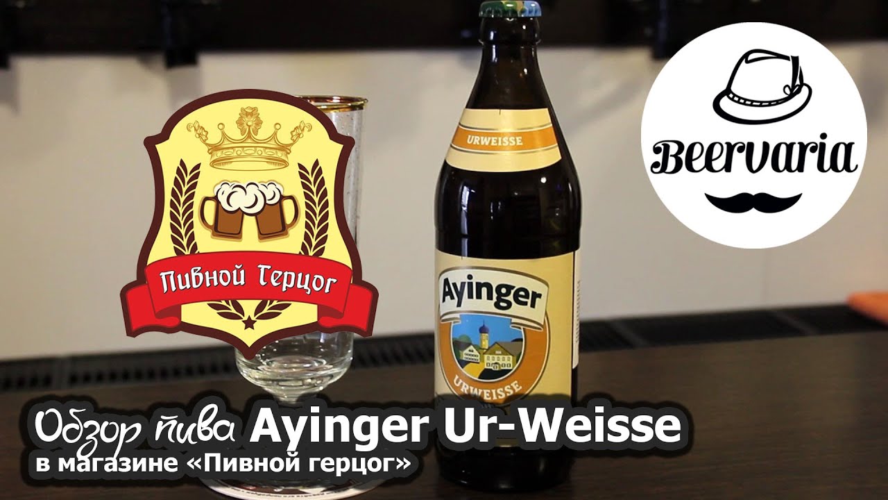 Обзор пива Ayinger Ur-Weisse в магазине 