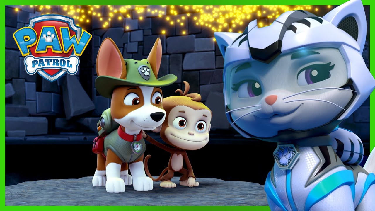 Rory Saves Leo and Tracker 🐕 | PAW Patrol Episode | Cartoons for kids
