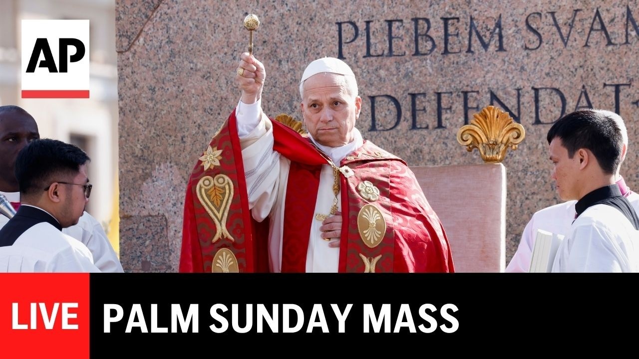 LIVE: Pope Leo XIV presides over Palm Sunday Mass