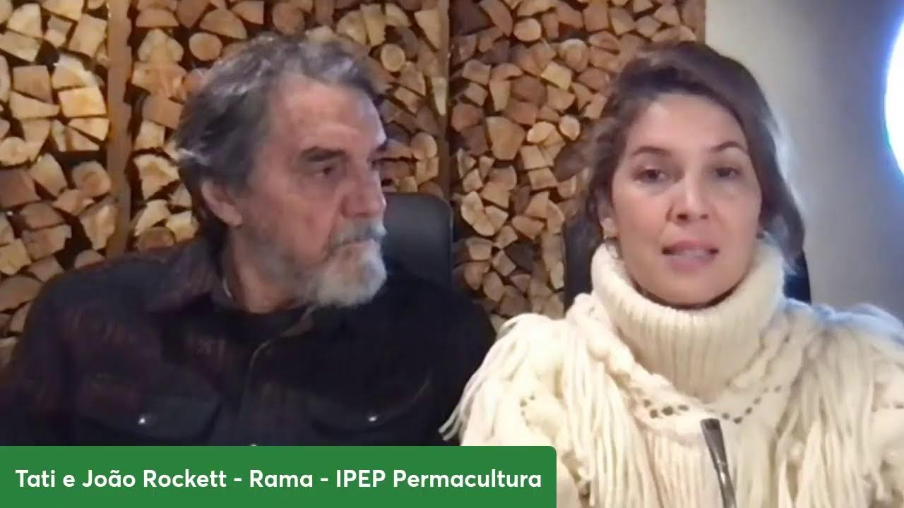 PERIGOS DE VIVER NA CIDADE