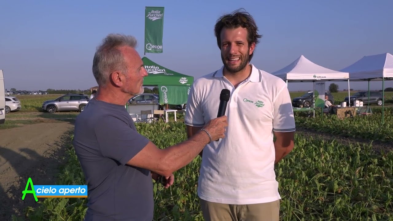 Puntata del 25-08-2024 - 3° parte LA CAMPAGNA DELLA BARBABIETOLA DA ZUCCHERO