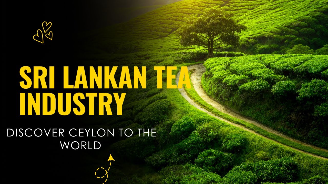 Sri Lankan Tea Industry