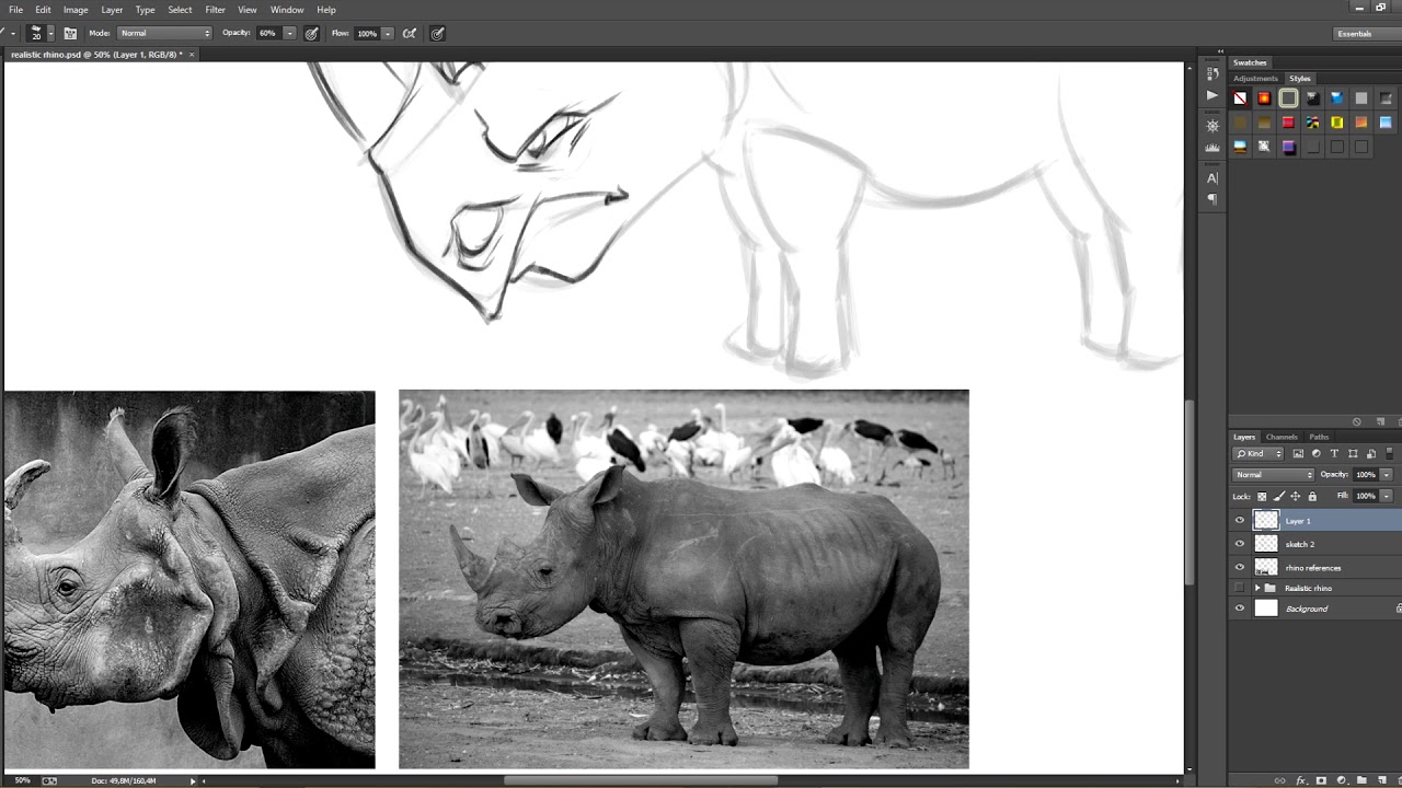 04/04 Estilo Cartoon — Ilustración: Dibuja animales realistas y cartoon