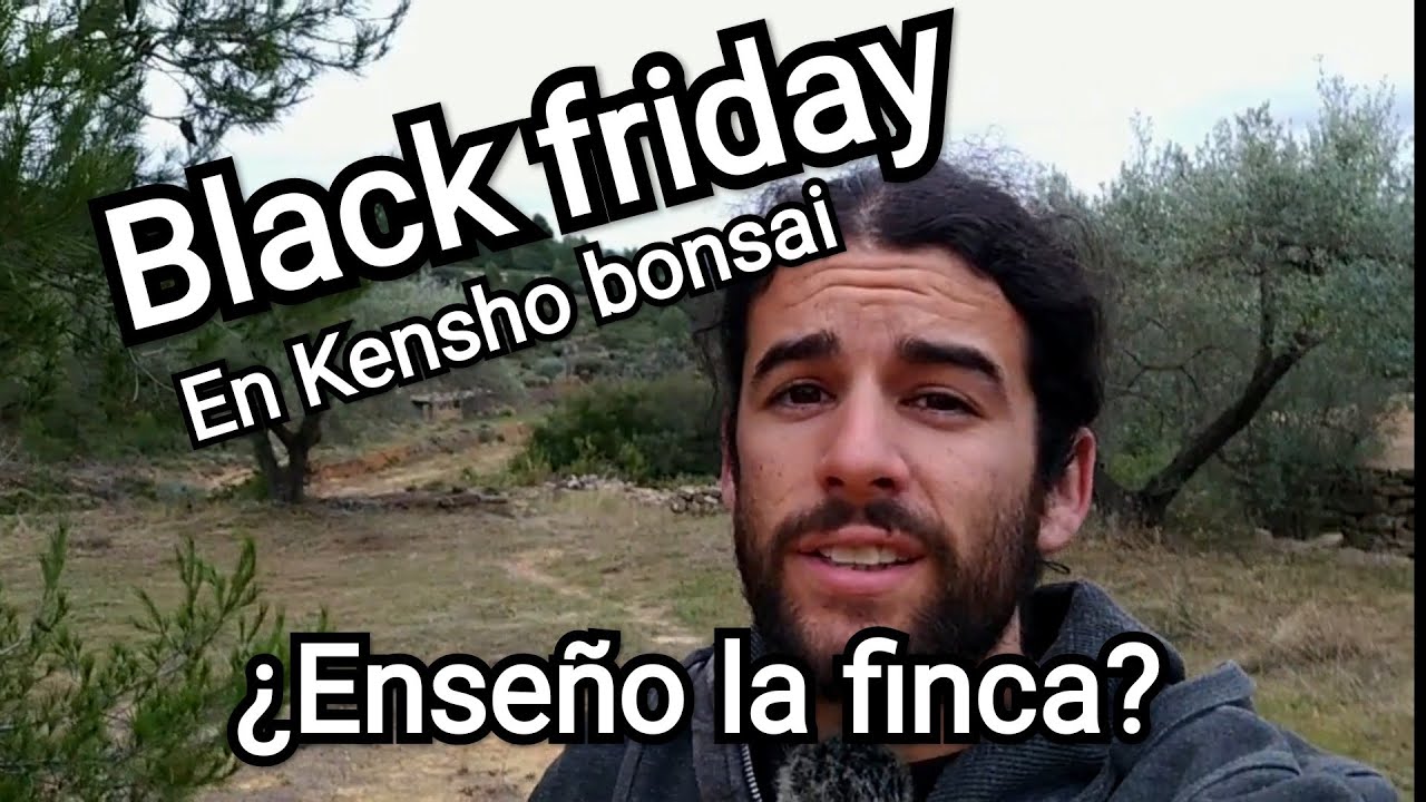 Black friday de Kensho bonsai y os enseño la finca