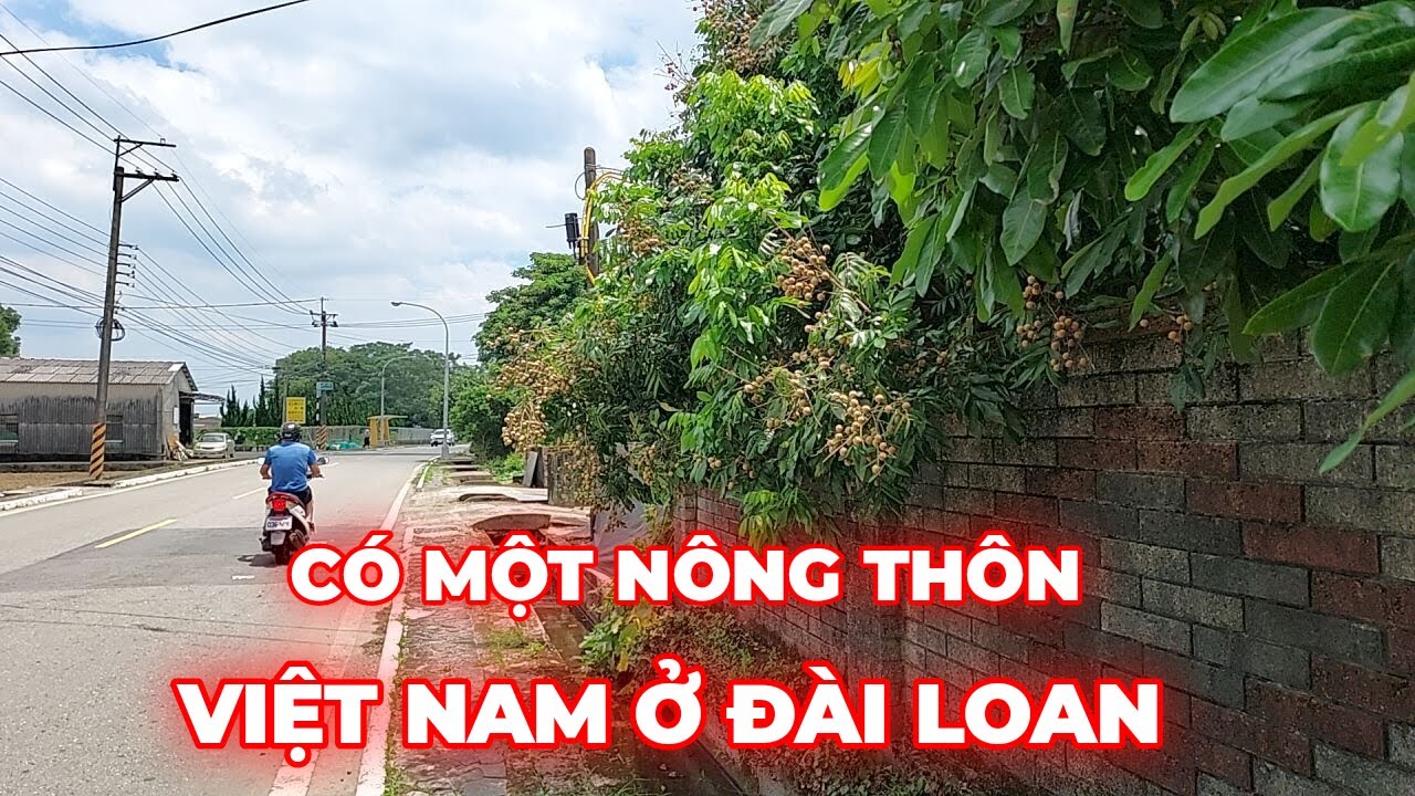 CUỘC SỐNG ĐÀI LOAN | CÓ MỘT NÔNG THÔN VIỆT NAM Ở ĐÀI LOAN|Phan Hân Huệ#9
