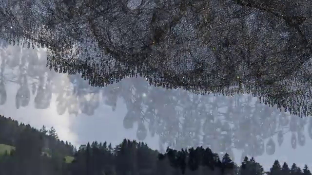 Swarovski Crystal Worlds