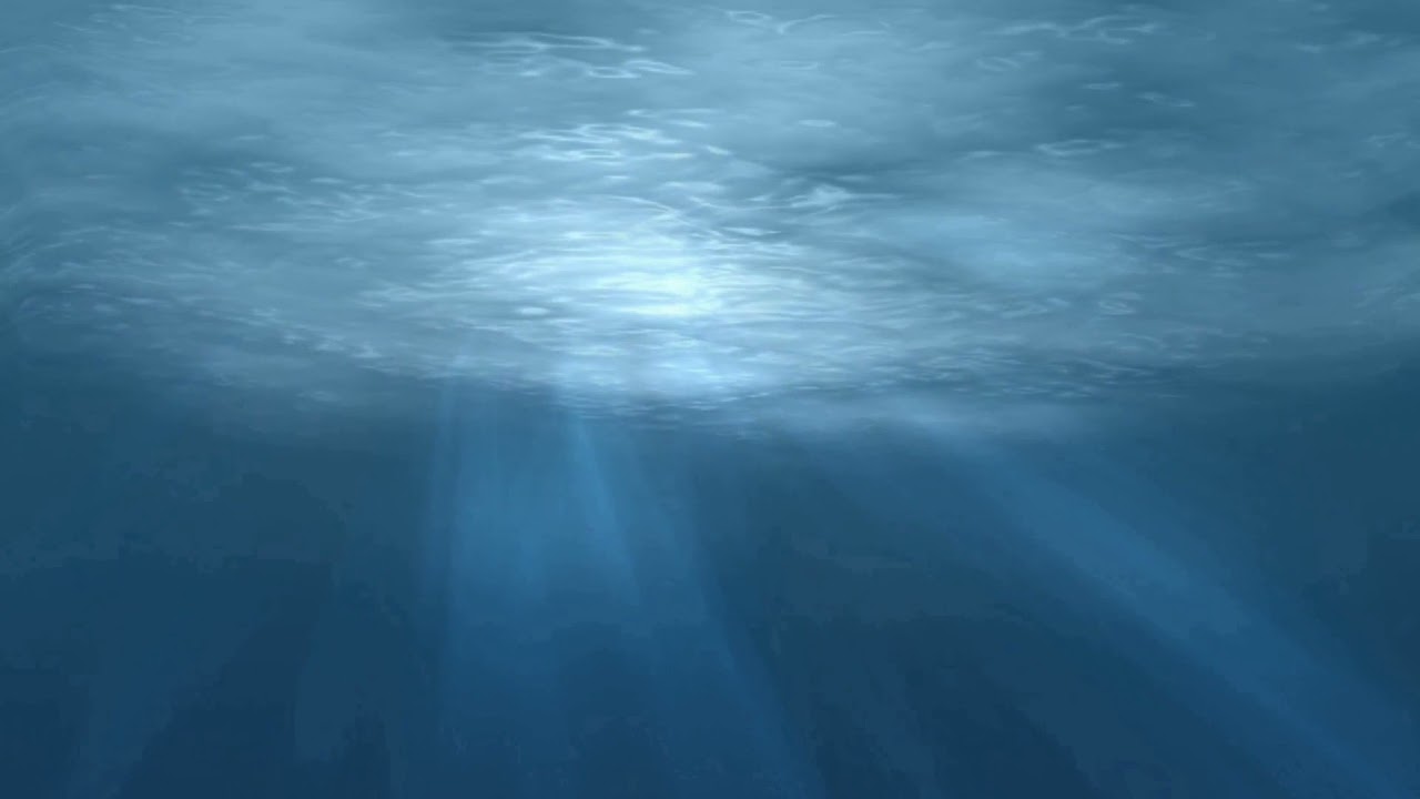Sonido del Fondo del Mar - Sound of the Seabed
