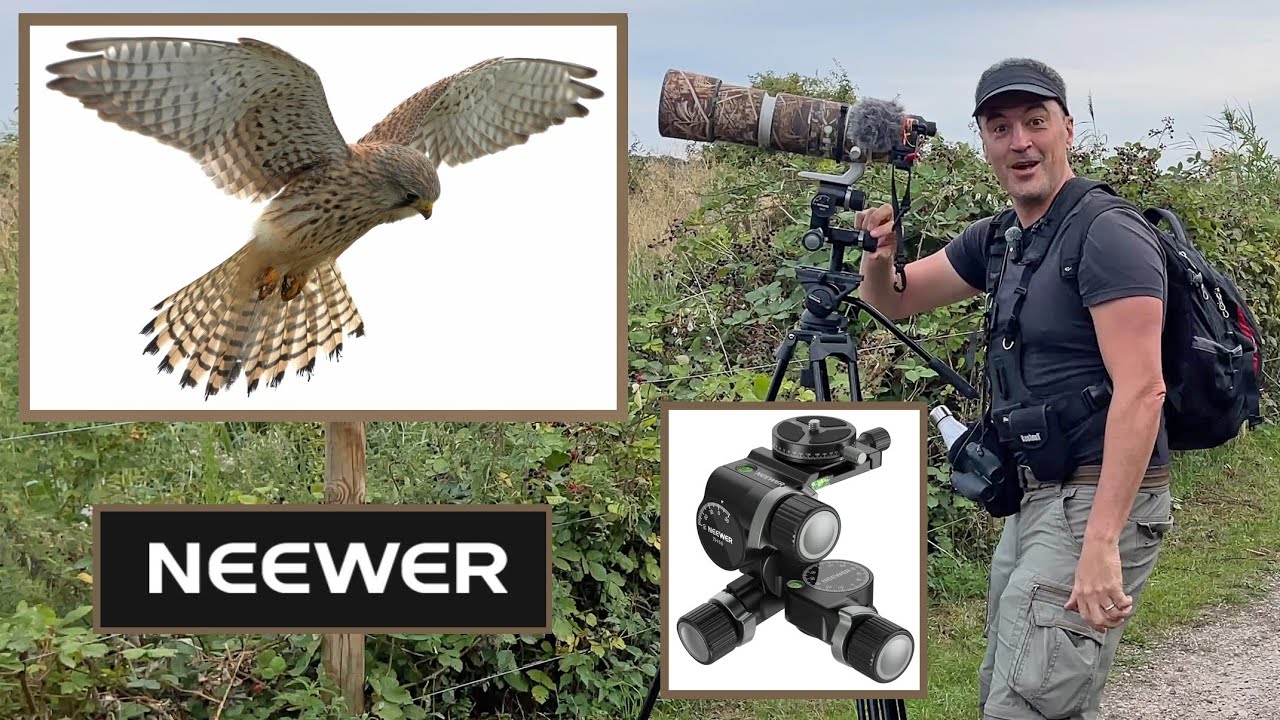 GAME CHANGER! NEEWER 3-Way Geared Tripod Head, Millimeter Micro- Adjustment.