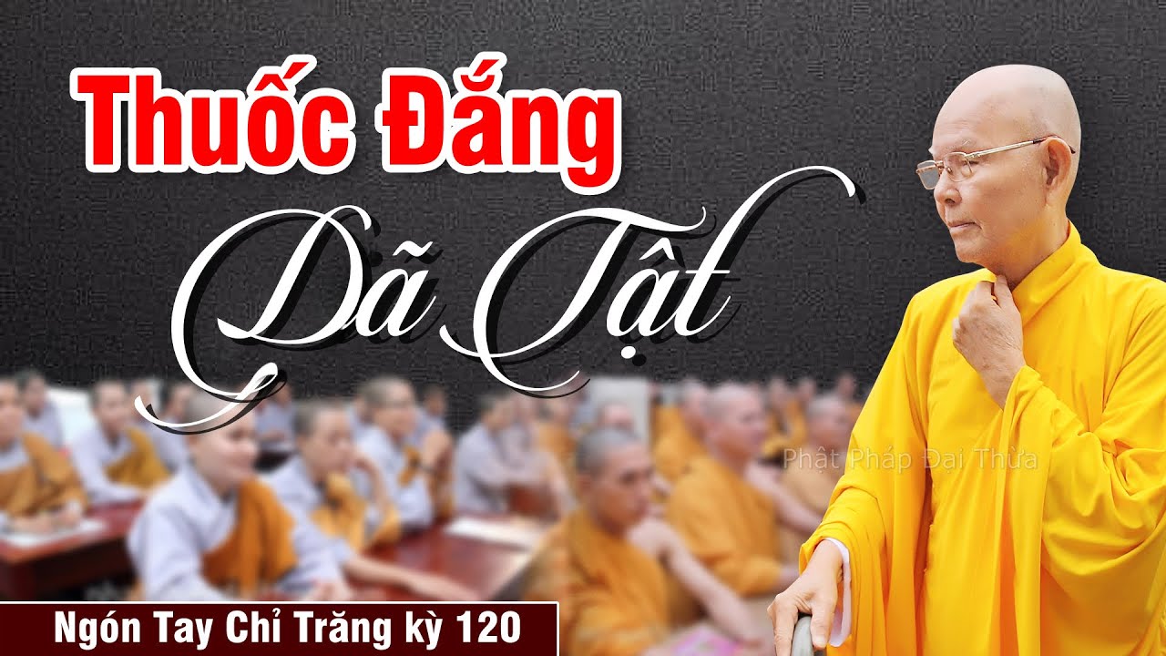 Thuốc Đắng Dã Tật, Rất Hay Nên Nghe | Ngón Tay Chỉ Trăng kỳ 120 - Thanh Minh - HT.Từ Thông