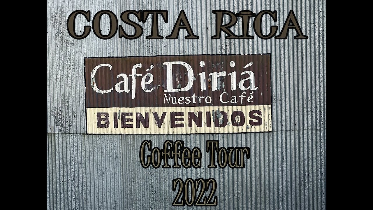 Visiting A Coffee Plantation at Costa Rica - ☕️ Diria Coffee Tour 2022 Hojancho / Guanacaste