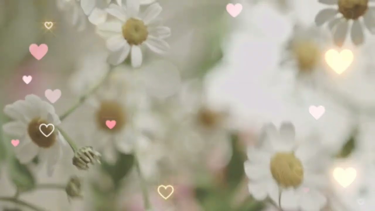 Malabo ngani 😁#shortsviral #flowers #shortsvideo #shortsfeed 