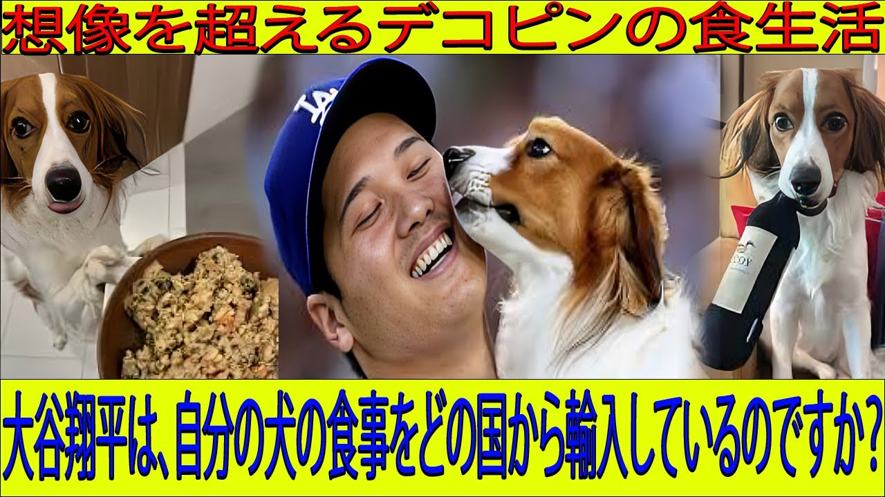 大谷翔平とデコピンの絆の舞台裏｜始球式から豪華ごはんまで、MLB最強に可愛い名コンビ #mlbb #decoy #野球