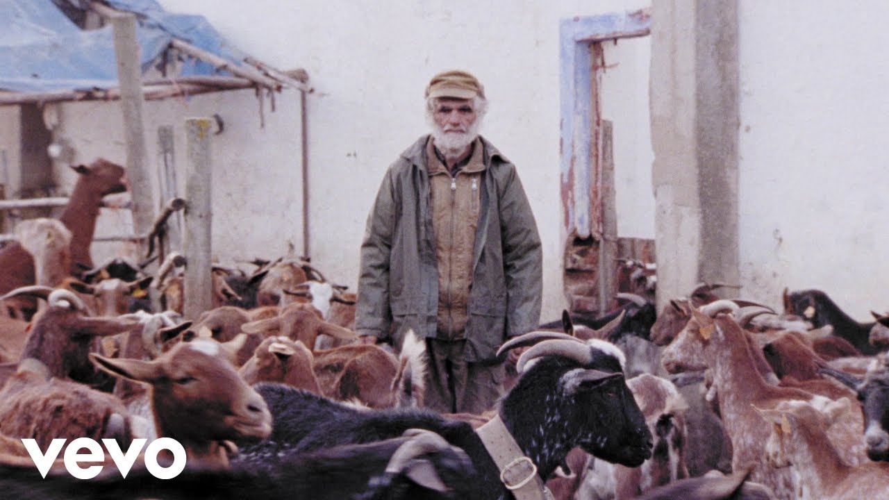 António Zambujo - Catavento Da Sé