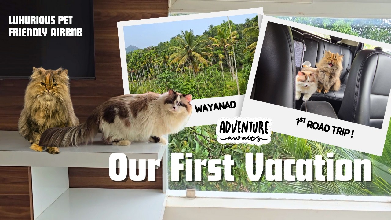 Pet-Friendly Airbnb Vlog | Wayanad Roadtrip and Adventure🐾