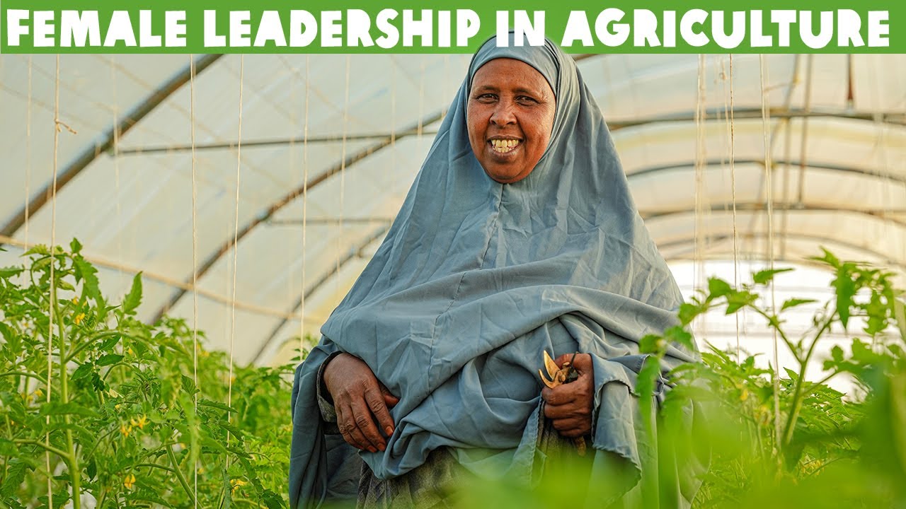 Greenhouses Story: Introducing Smart Agricultural Technology in Somaliland - Irish Aid/Oxfam