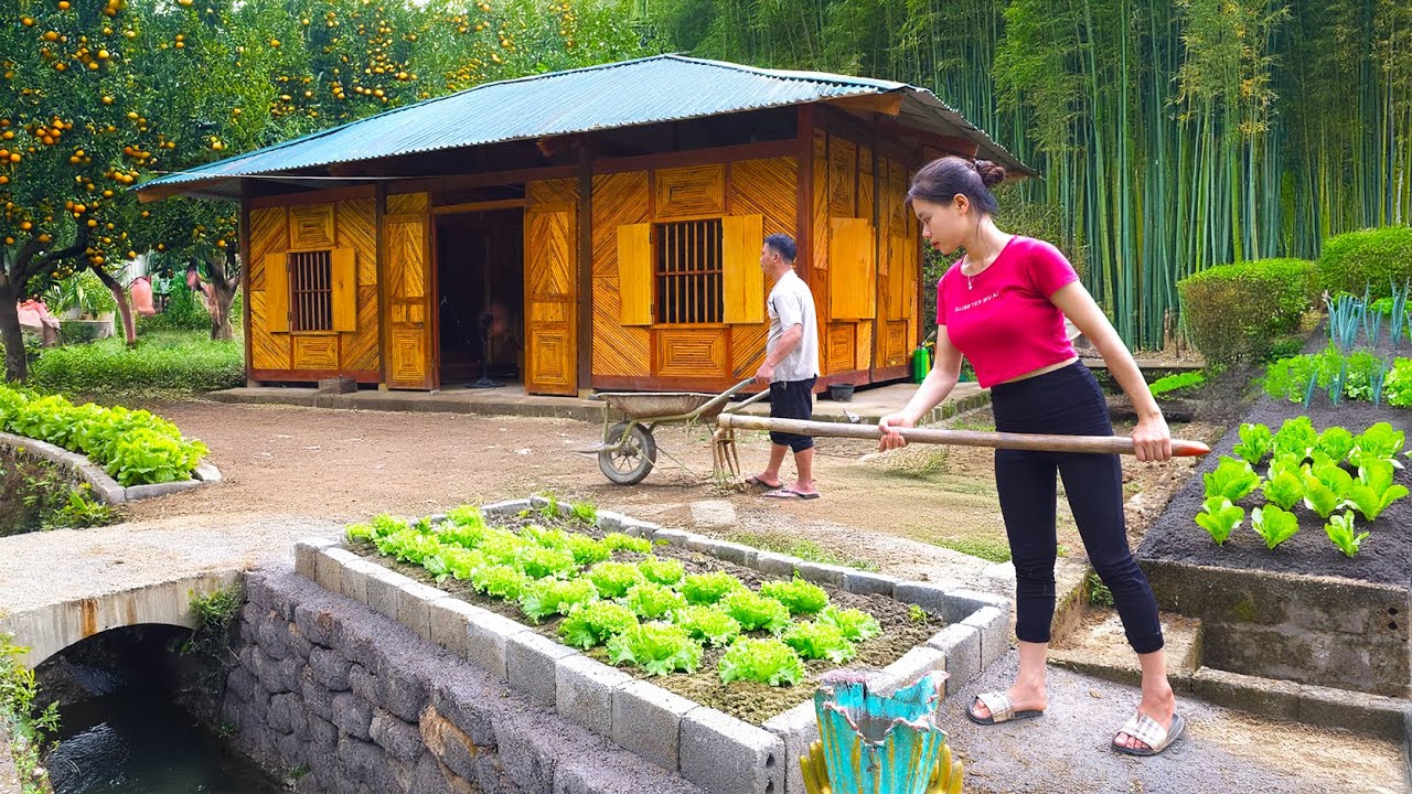 Part 3: Journey of Building a Farm | Million Dollar Forest House Project
