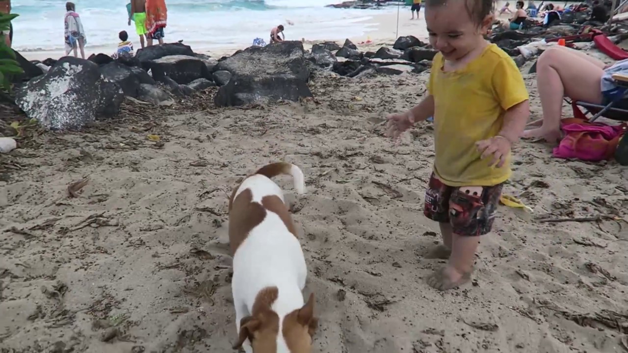 Baby and Puppy at the Beach!! | Sam & Nia