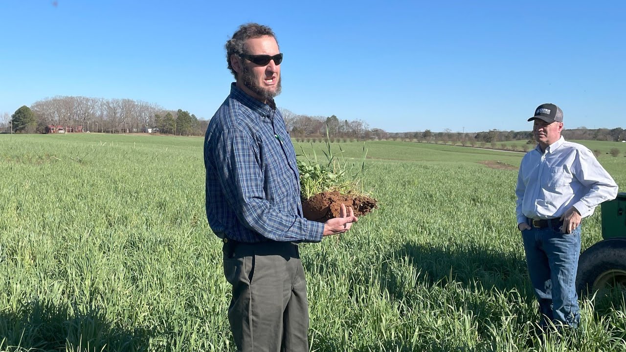 Does your cover crop pay?
