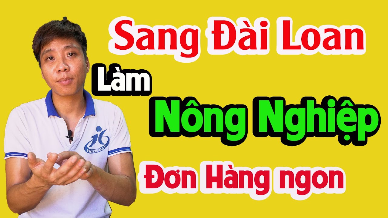 Đơn Hàng Nông Nghiệp Đài Loan | Cơ Hội Cho Người Không Bằng Cấp | Cuộc Sống Đài Loan | Sỹ Vlogs