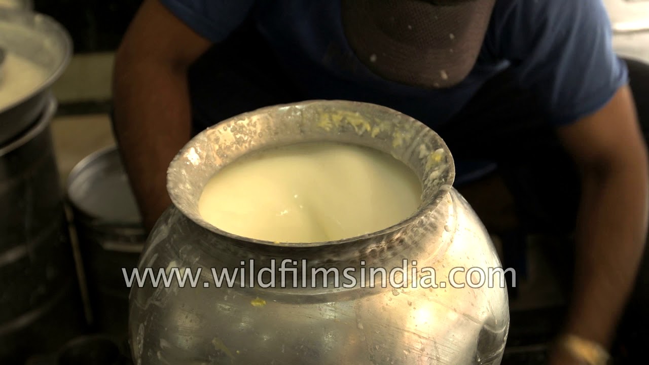 Making of special Amritsari lassi