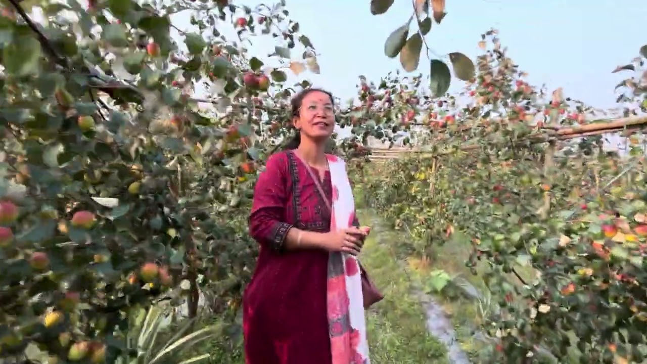 Visiting apple ber garden/India/Flavia and Cherry