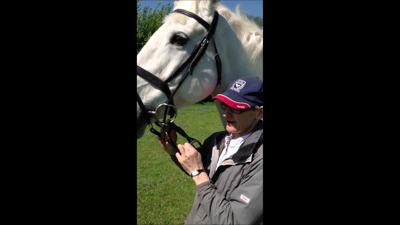 Cheltenham Gag