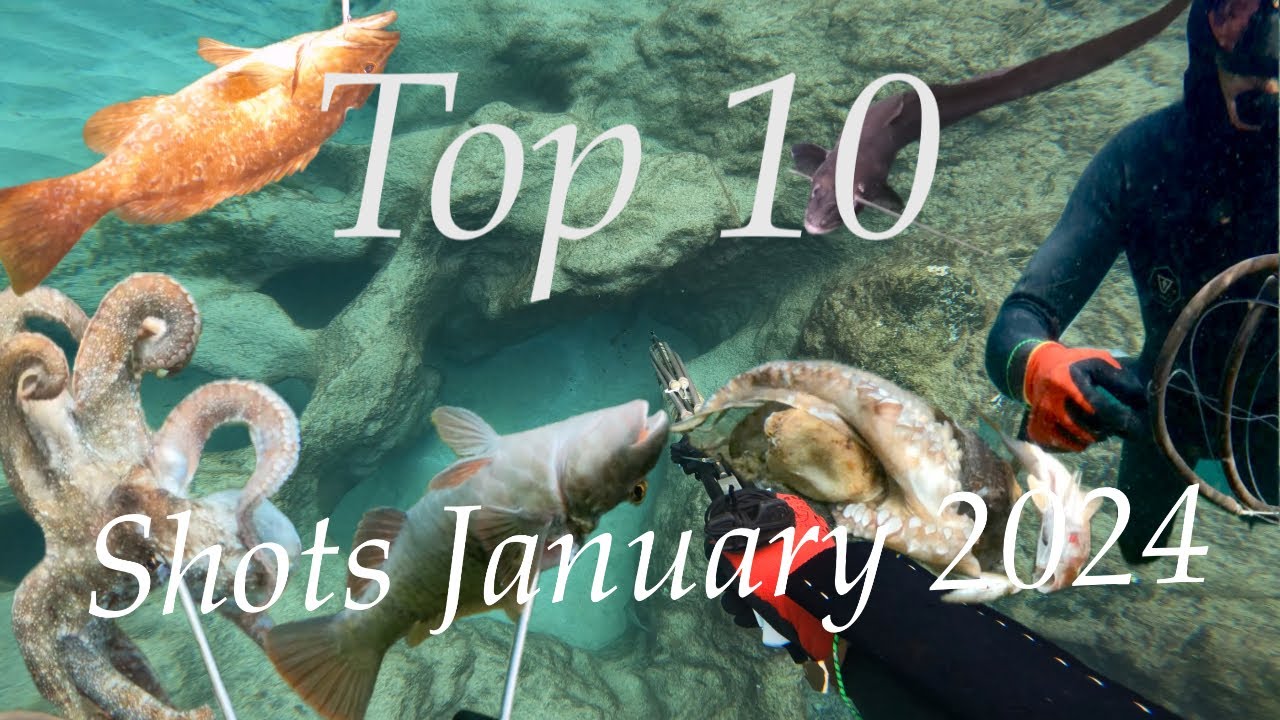 Top 10 Jan 2024 Spearfishing Pescasubmarina Fuerteventura number 1 will surprise you! (Grouper…)