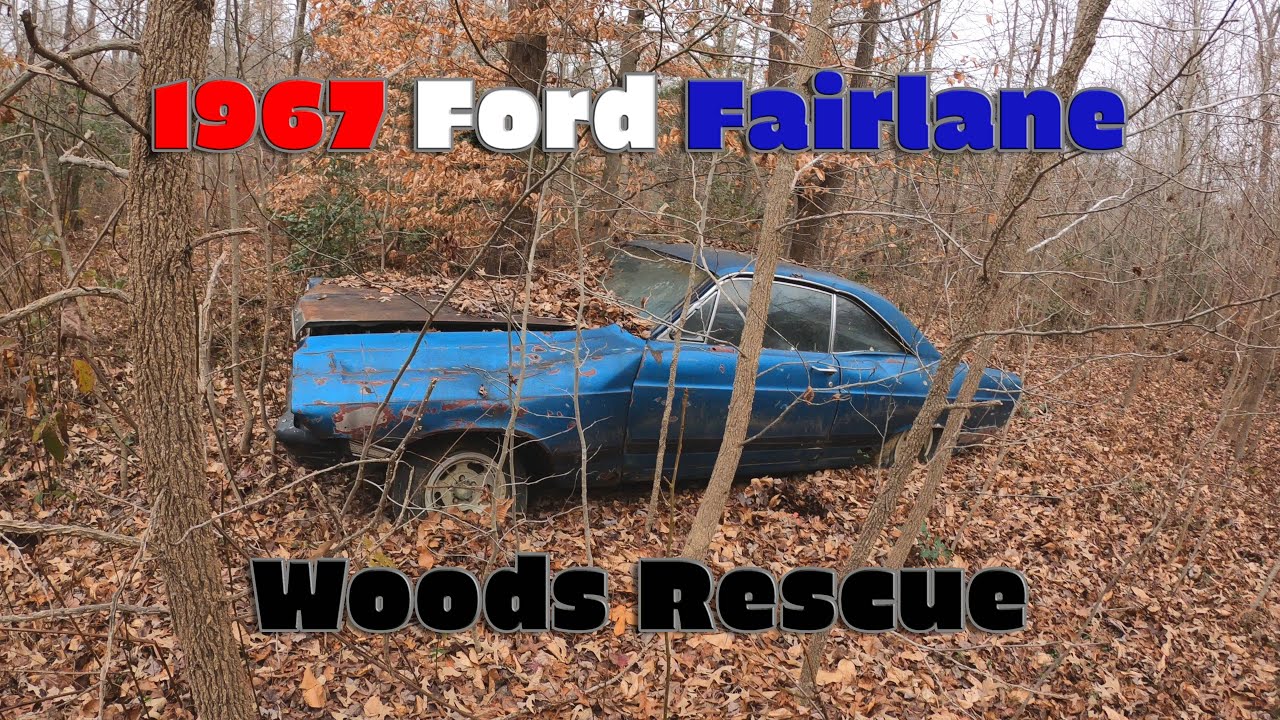 1967 Ford Fairlane Rescued from the Woods