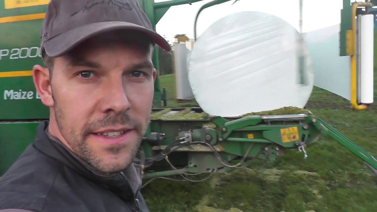 Mais Ernte in der Frohwies / Silomais / Mais Rundballen / Fendt / Orkel / Steyr