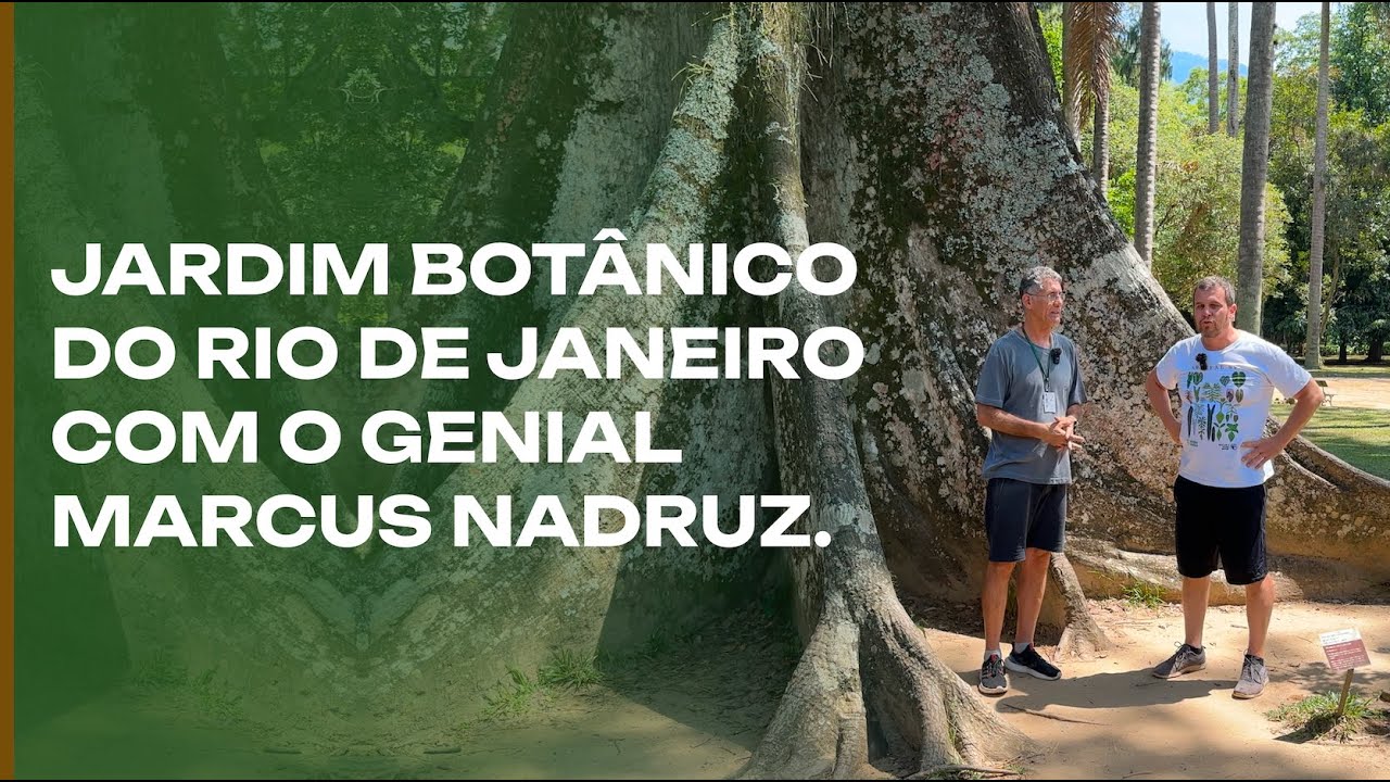 Jardim Botânico do Rio de Janeiro: um patrimônio do Brasil.