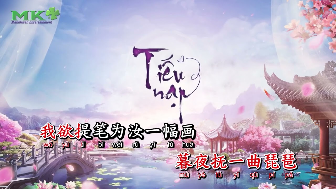 笑纳 | Tiếu Nạp Karaoke Remix - 花童 | Hoa Đồng