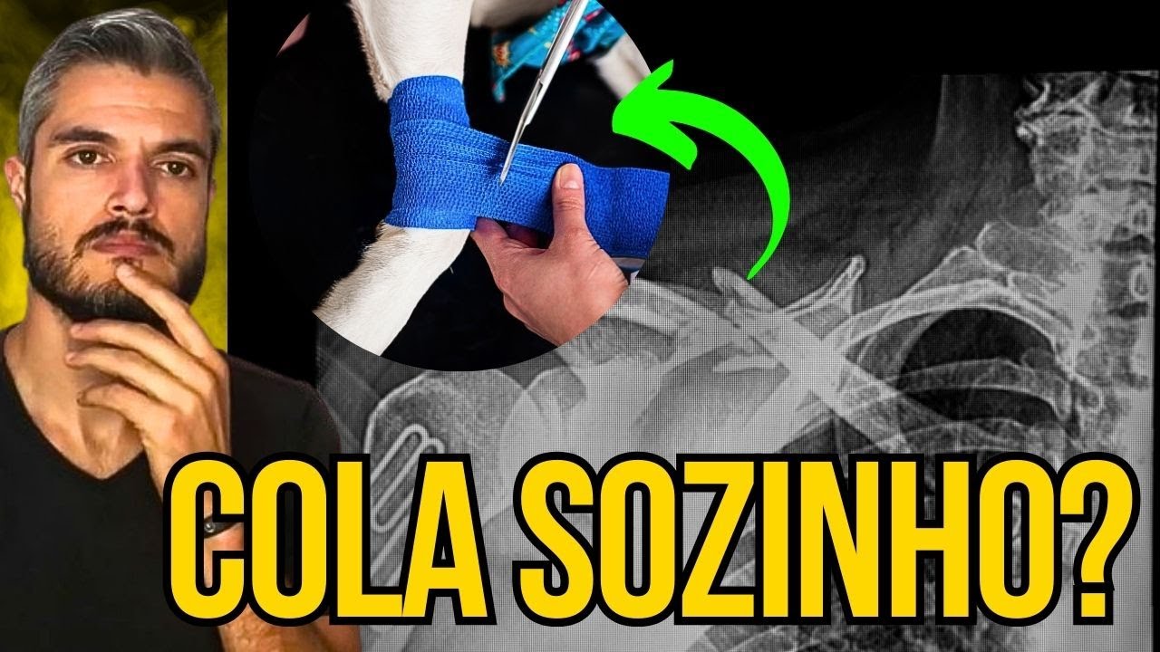 CACHORRO COM FRATURA COMO RESOLVER SEM FAZER CIRURGIA CARA NO VETERINÁRIO CÃO MANCANDO COM DOR