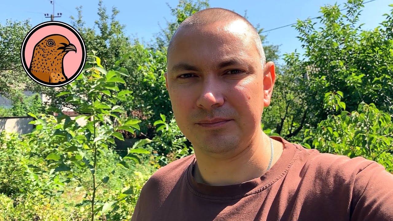 ЗАКРЫВАЮ ПЕРЕПЕЛИНЫЙ БИЗНЕС