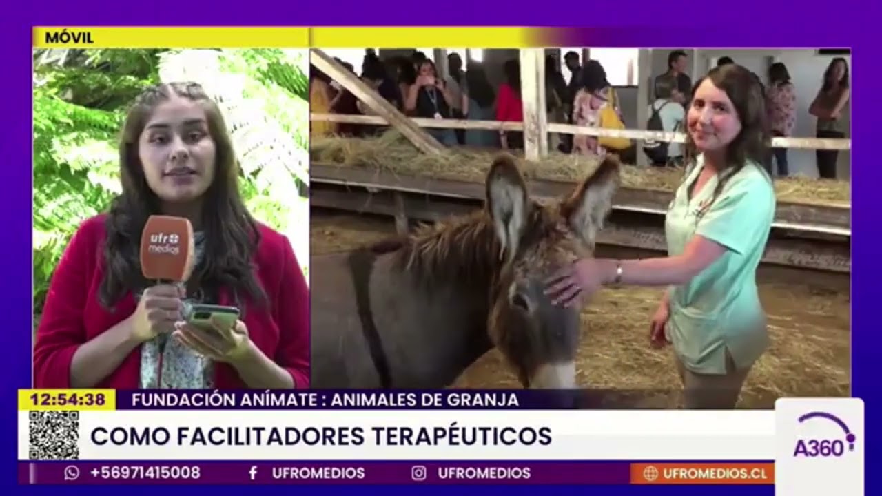 Inauguraci&oacute;n Centro de Terapias AN&Iacute;MATE - UFRO&nbsp;Visi&oacute;n