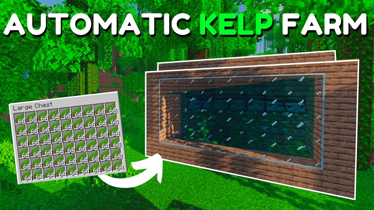 Minecraft AUTOMATIC KELP FARM TUTORIAL! Easy and Expandable! (1.16 - 1.21.1+) (Java/Bedrock)