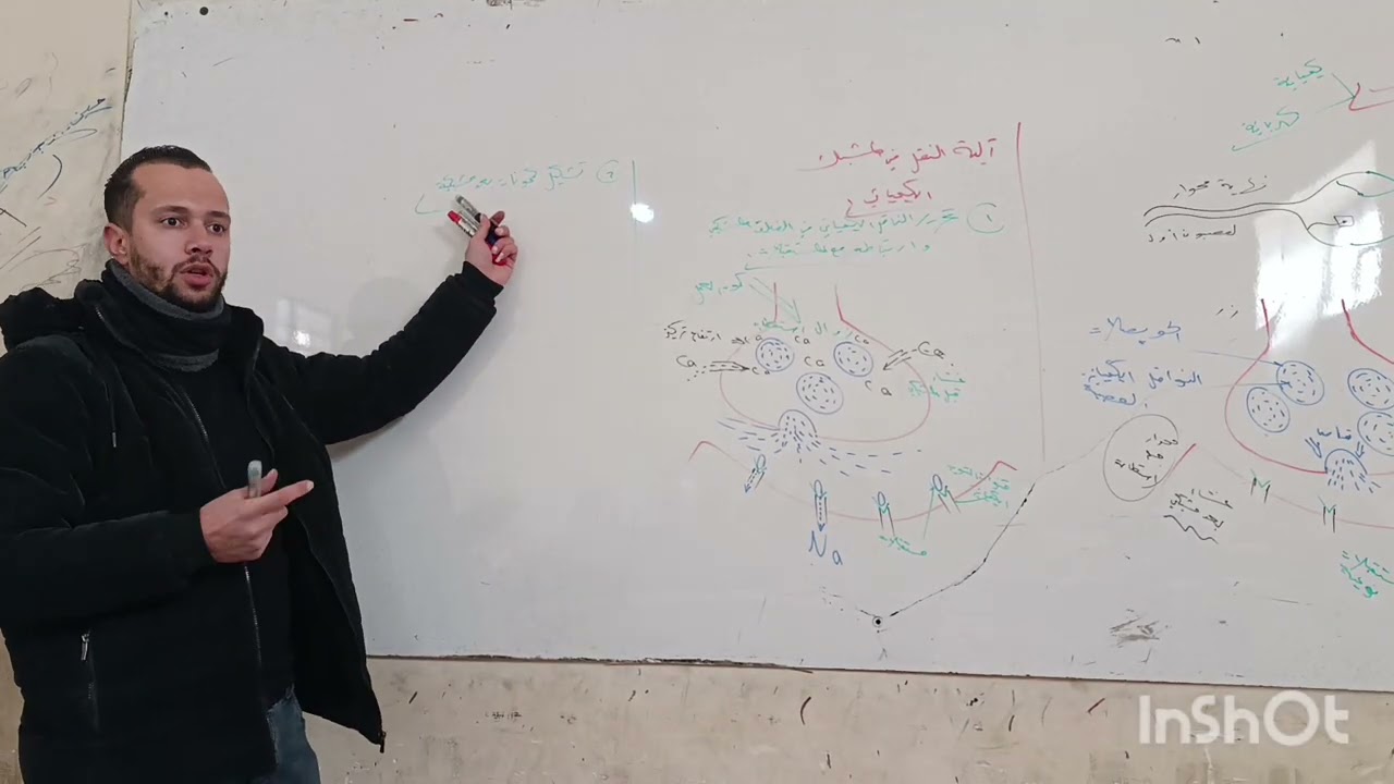 الية النقل في المشبك الكيميائي 🌹😍 مع المدرس محمد رافع