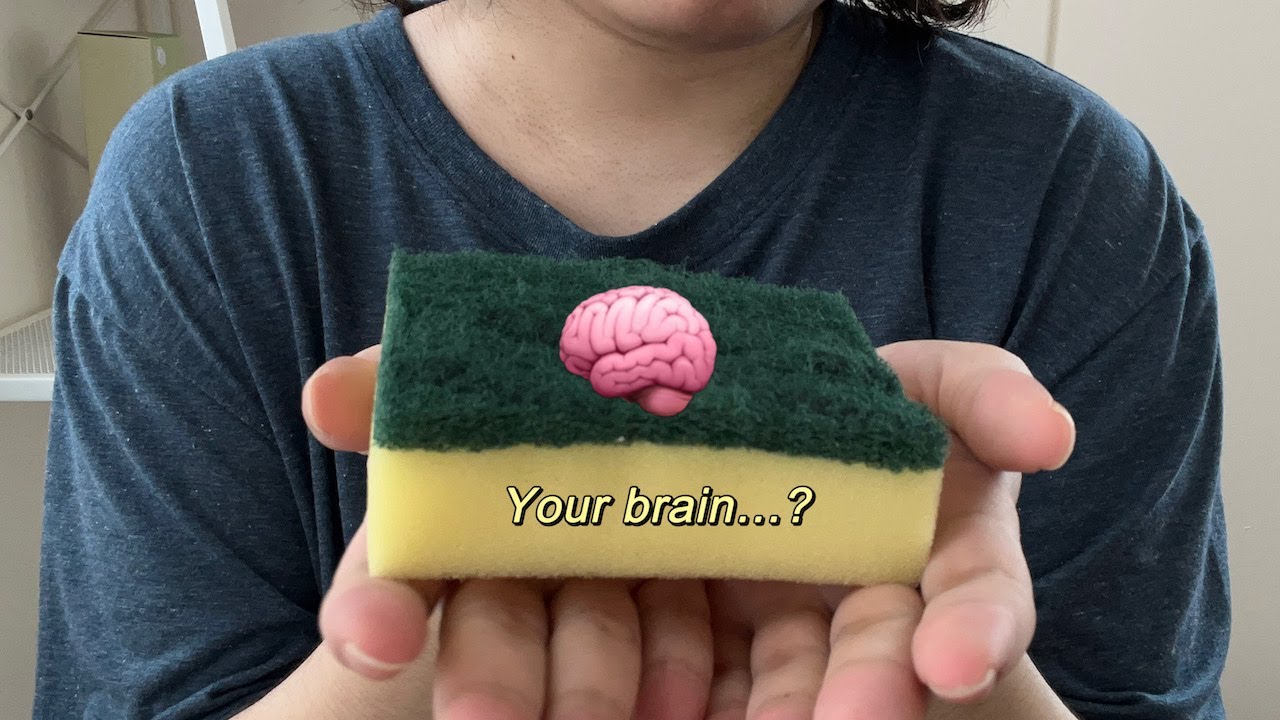 ASMR sponge triggers