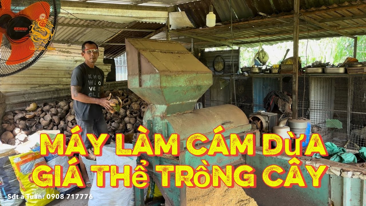 🐉Xem thực tế quá trình quá trình sản xuất Mụn(cám) Dừa trồng Mai -Cây kiểng ở Quận 2|Vùng Đất Rồng 