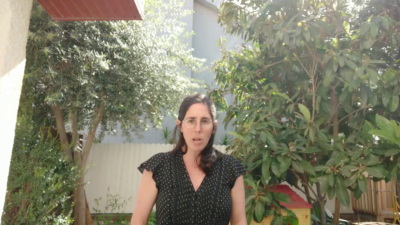 מידע והדרכה להורים לילדים עם אוטיזם- התמודדות עם התקפי זעם