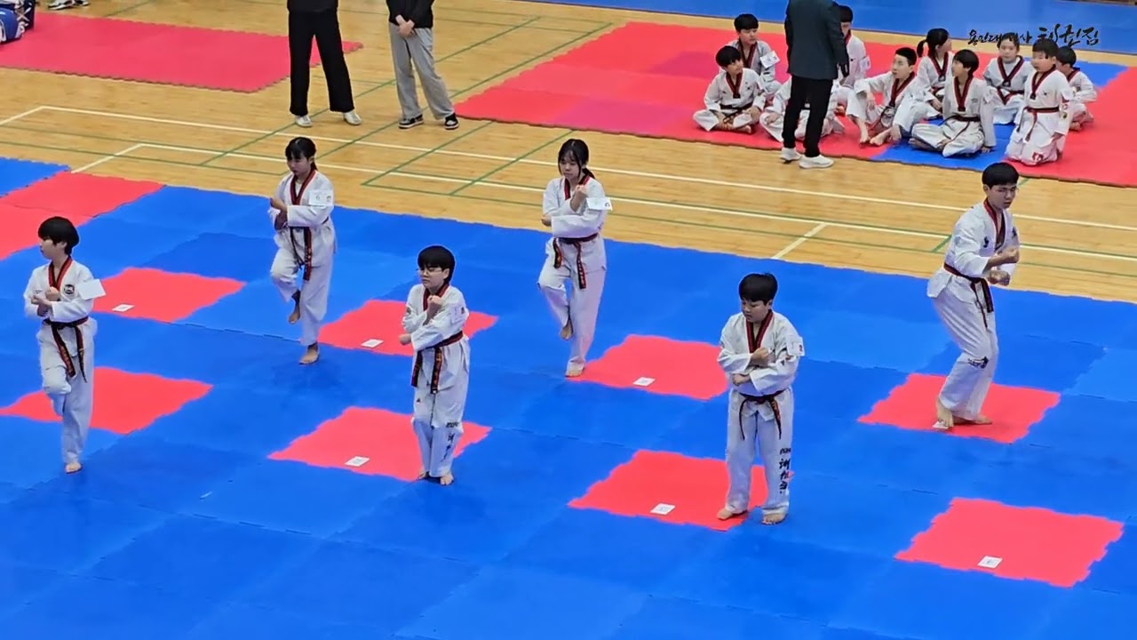 🥋 태권도 3품 심사! 아이들의 반짝이는 도전기 🌟
