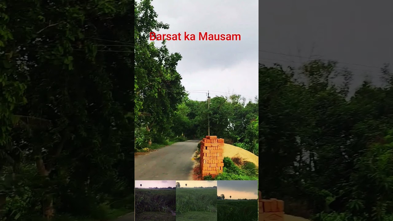 @KhesariMusicWorld @BhojpuriRimjhim #bhojpuri #bhojapurihitsong #reels #viral #viralshorts