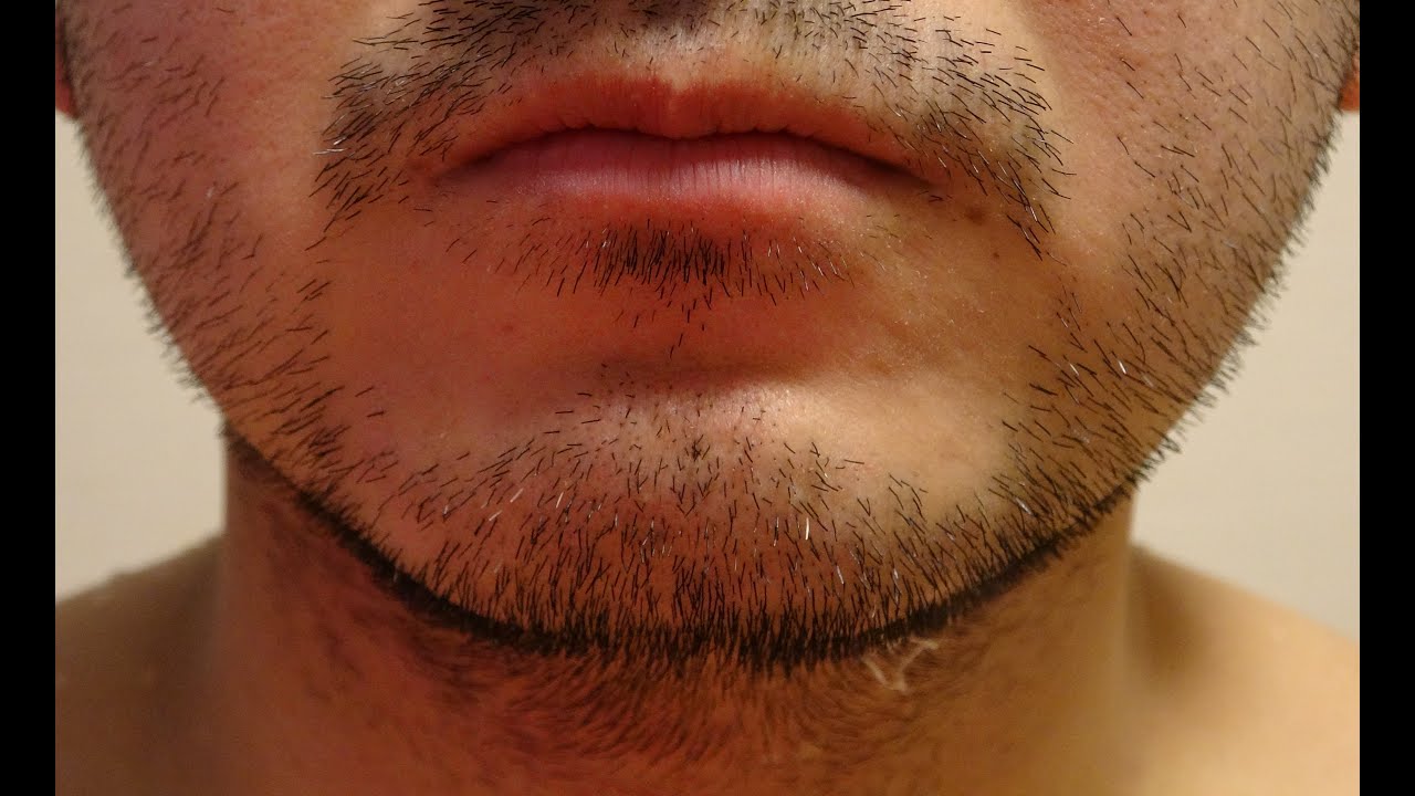 Wet shaving ASMR  1週間髭伸ばしましたわ  vol.51
