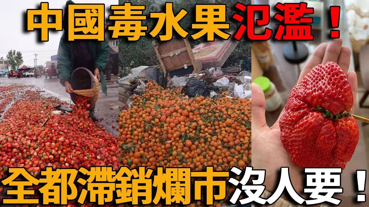 慘！中國水果嚴重滯銷！膨大劑去酸劑染色劑，盛產毒水果，百姓吃到中毒，拳頭大的草莓吃到進醫院！殺人橘子再現，大量水果爛掉都沒人要，藍莓哈密瓜耙耙柑全爛完，中國人沒錢消費了？ ！