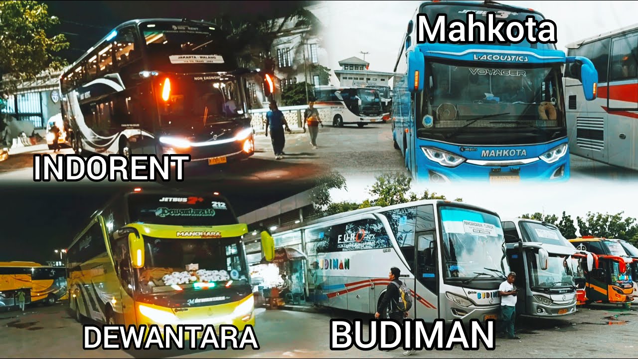 Bus Mahkota,Budiman,INDORENT,Dewantara,dll.Hadir Di Terminal Tanjung Priok Jakarta Utara