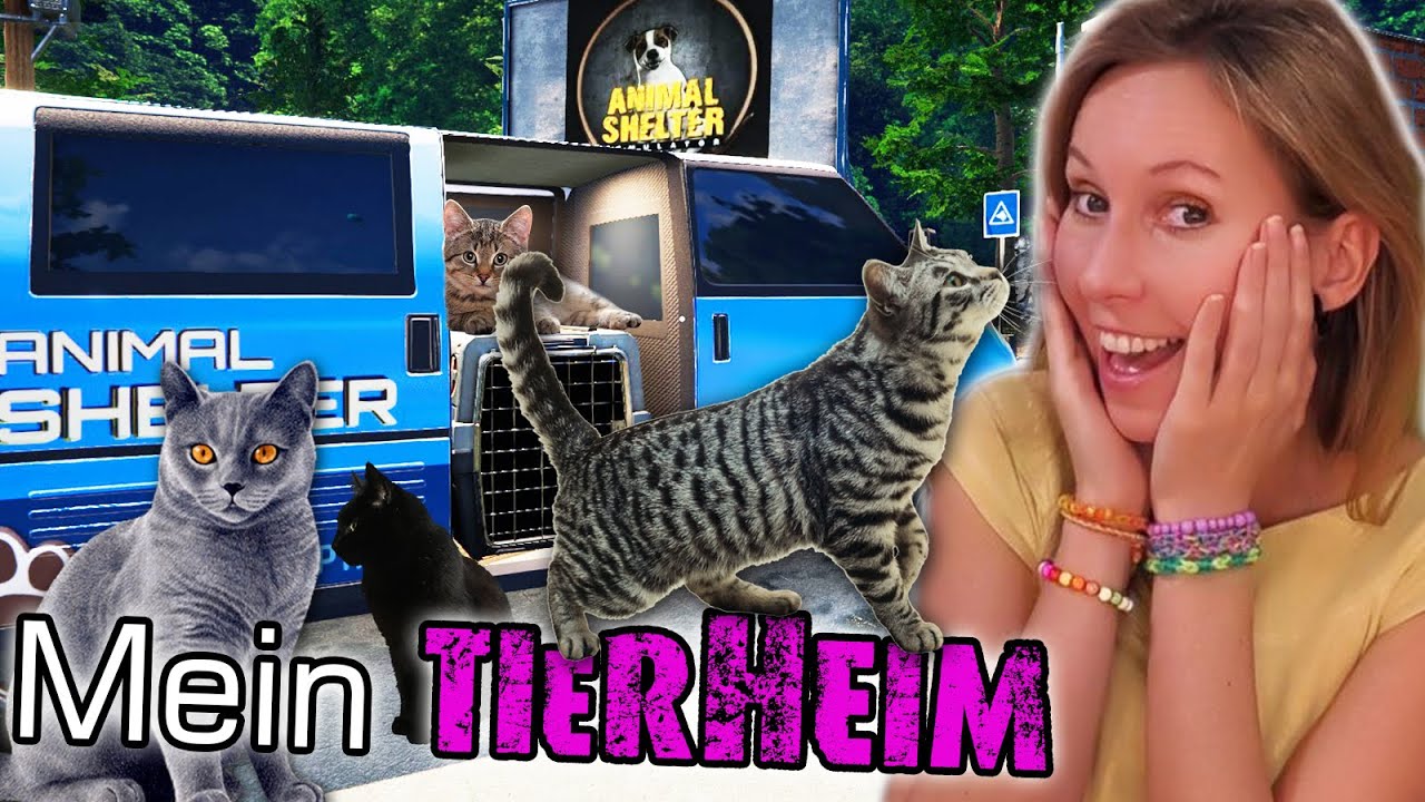 Mein eigenes TIERHEIM 🐈‍ Tierheim Simulator 🐩 Animal Shelter Simulator deutsch 🏠 Folge 01